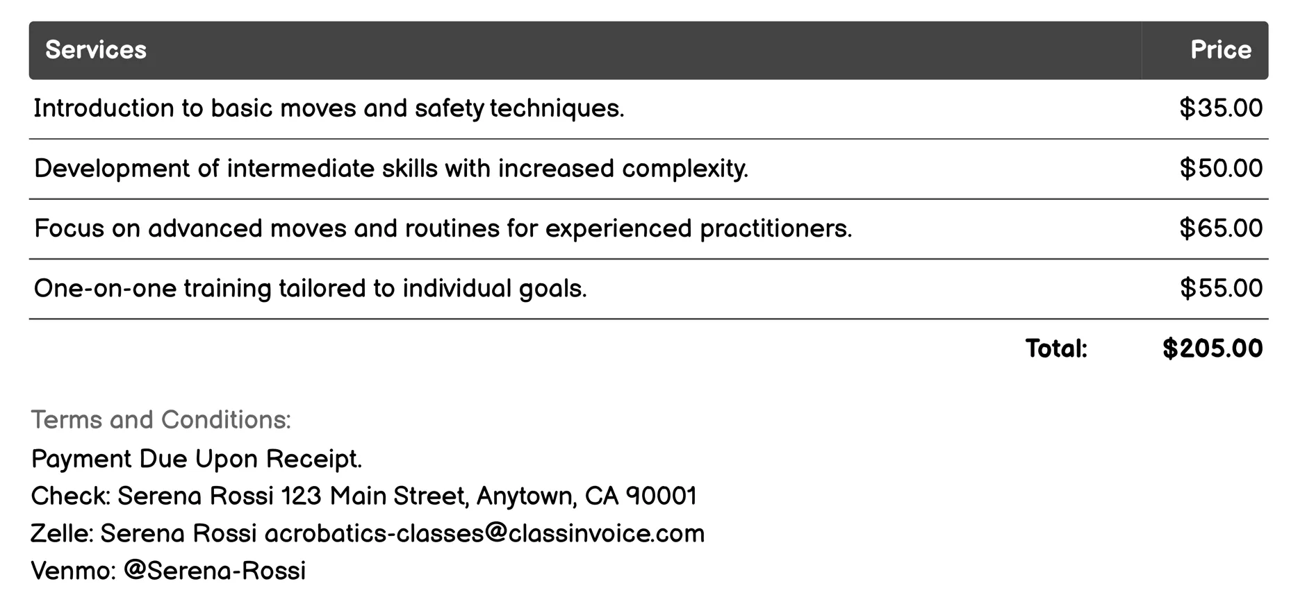 Aerial Silk Classes Invoice Example