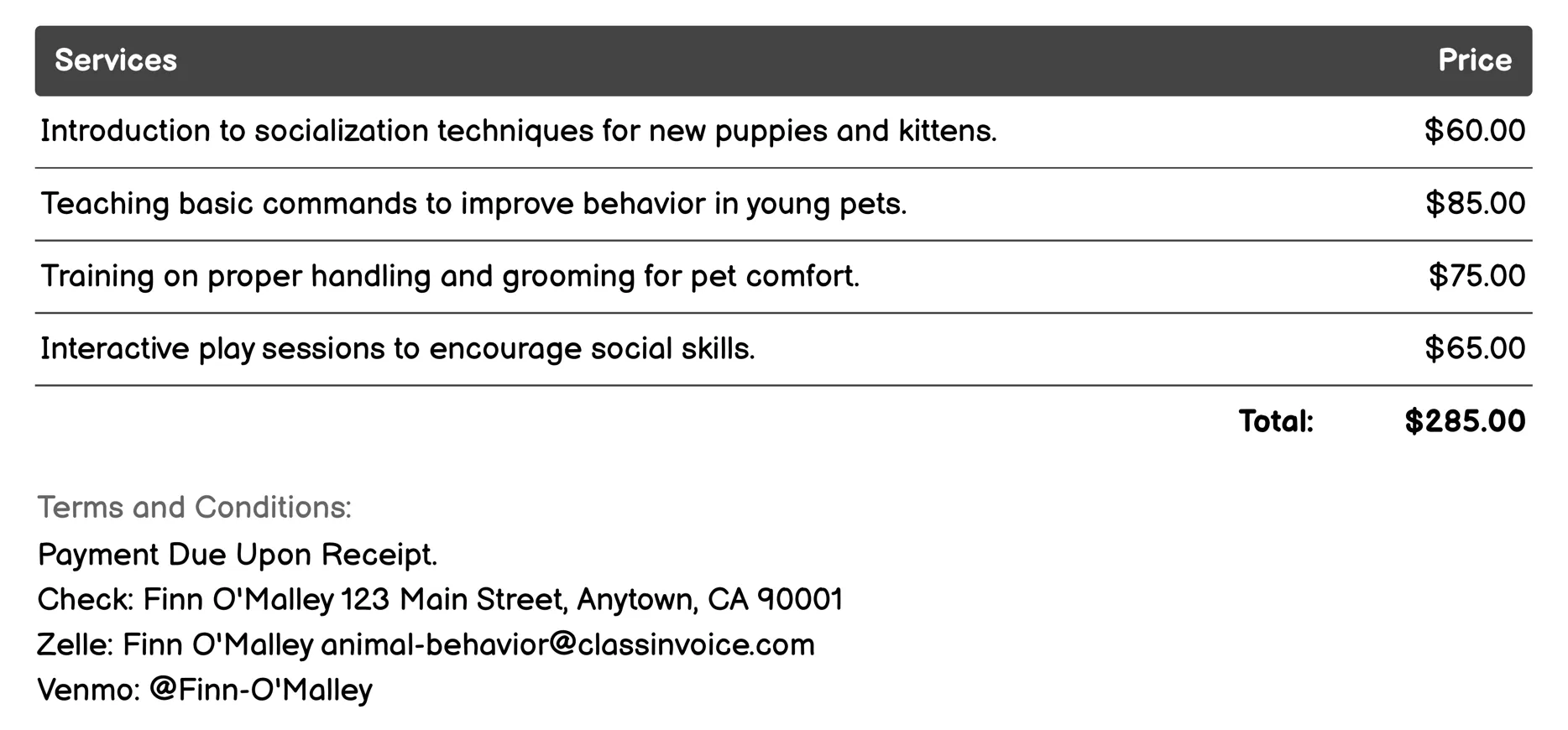 Puppy/Kitten Socialization Classes Invoice Example