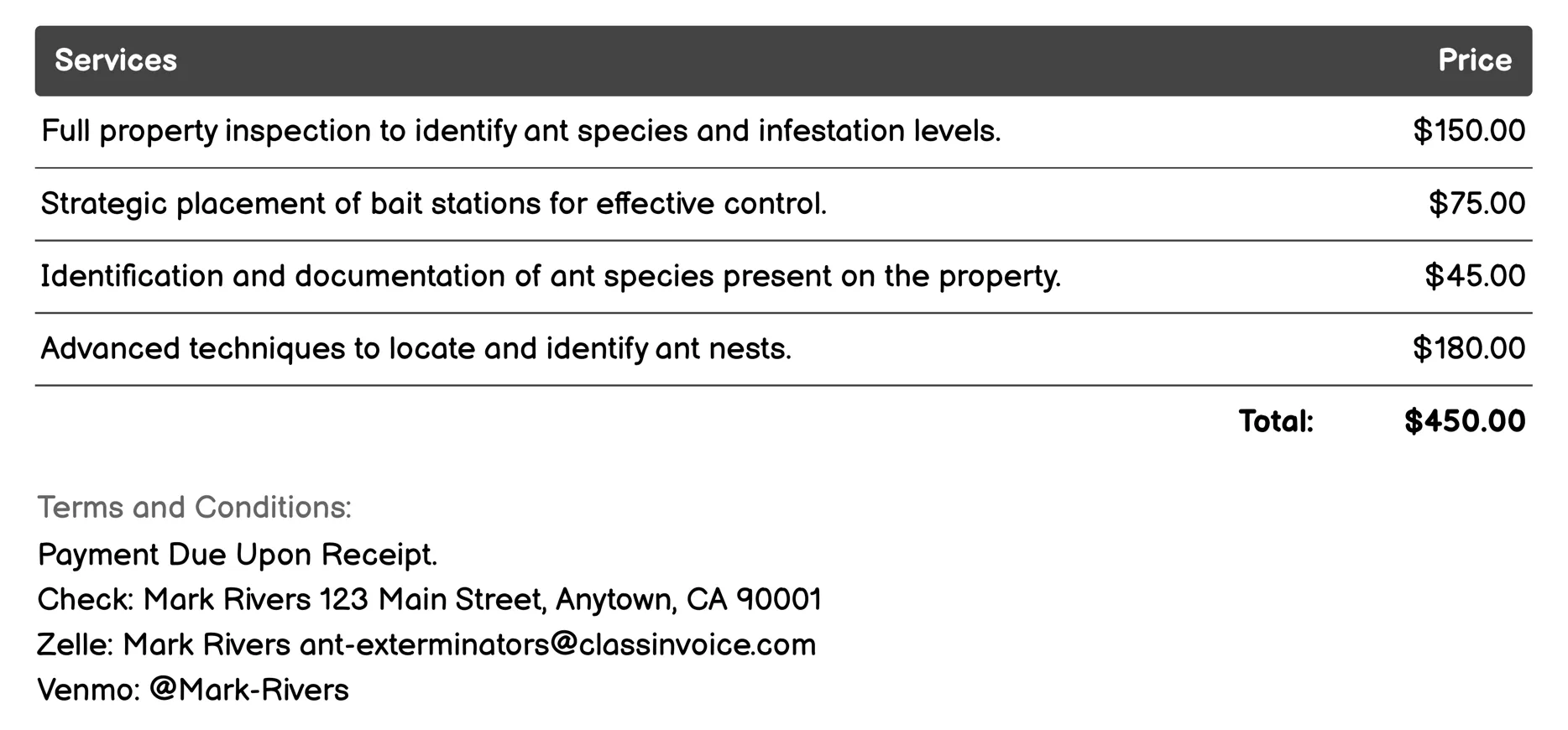 Ant Inspection Services Invoice Example