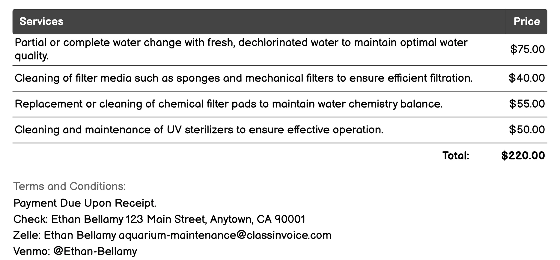 Water Change and Filtration Cleaning Invoice Example