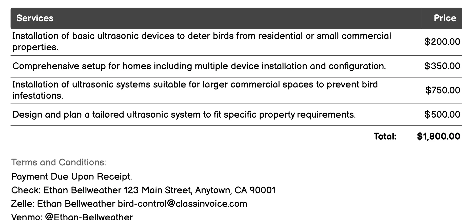 Ultrasonic Devices Invoice Example