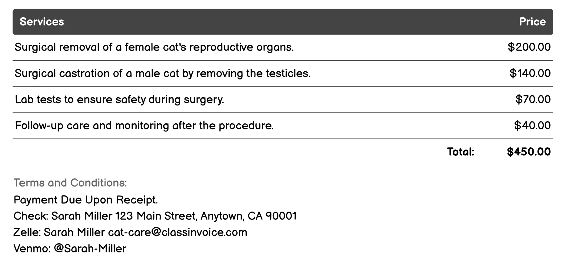 Spaying/Neutering Invoice Example