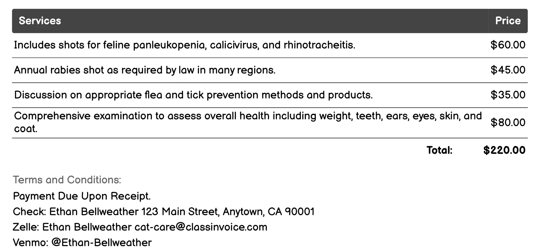 Vaccinations and Health Check-Ups Invoice Example