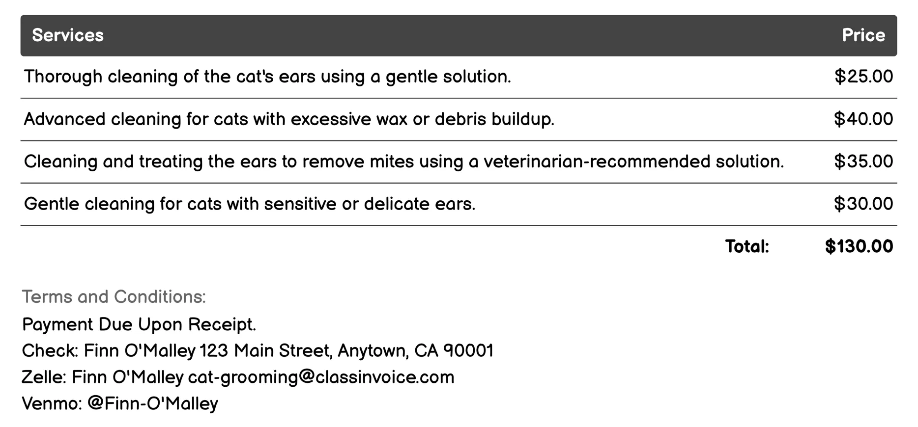 Ear Cleaning Invoice Example