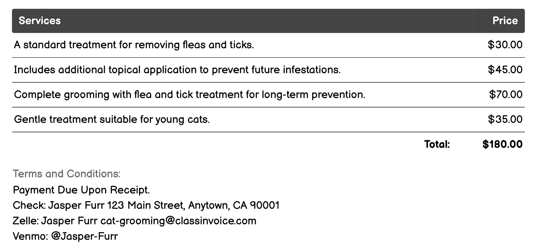 Flea & Tick Treatment Invoice Example