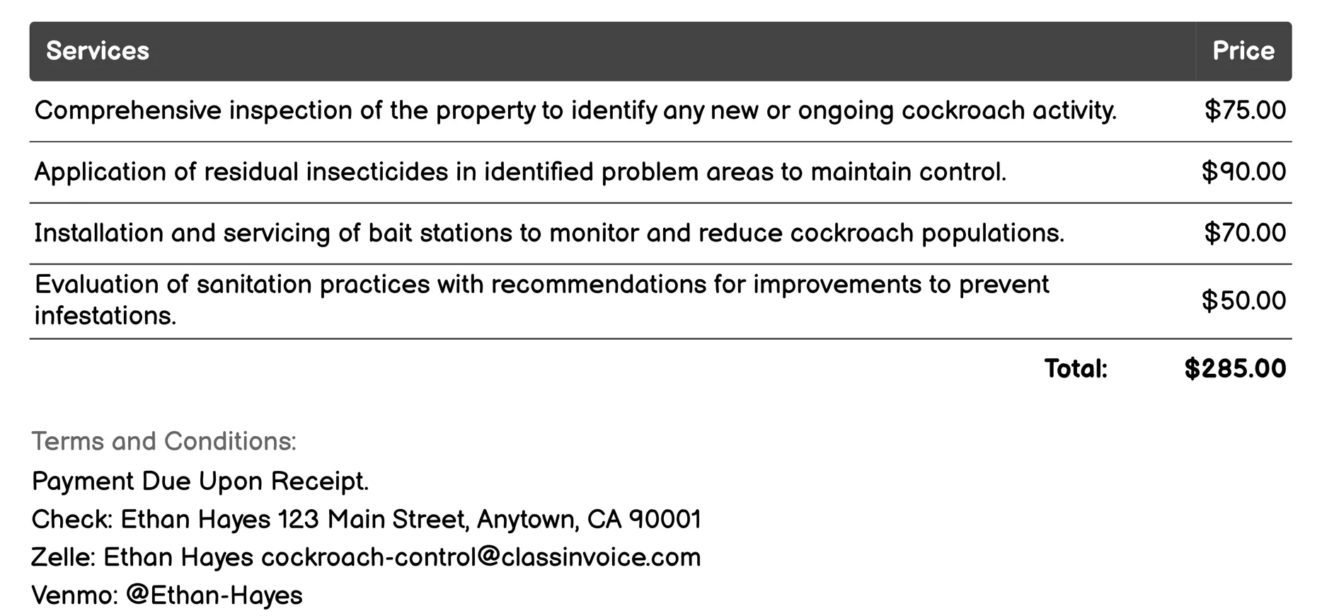 Follow-Up Visits Invoice Example