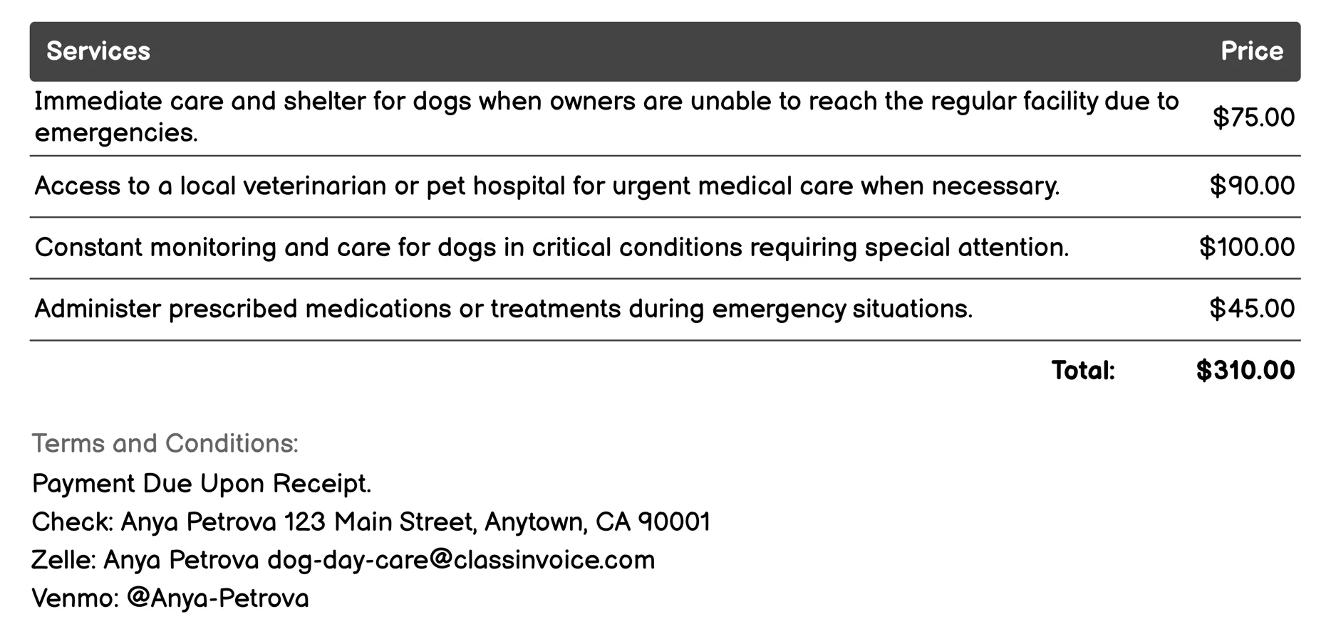 Emergency Care Invoice Example