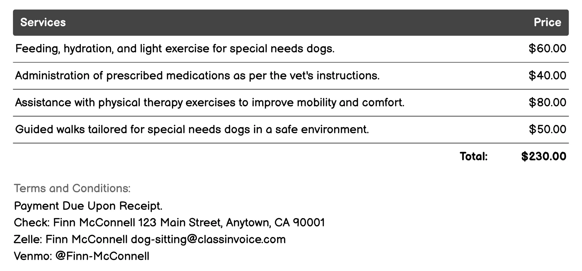 Special Needs Dog Care Invoice Example