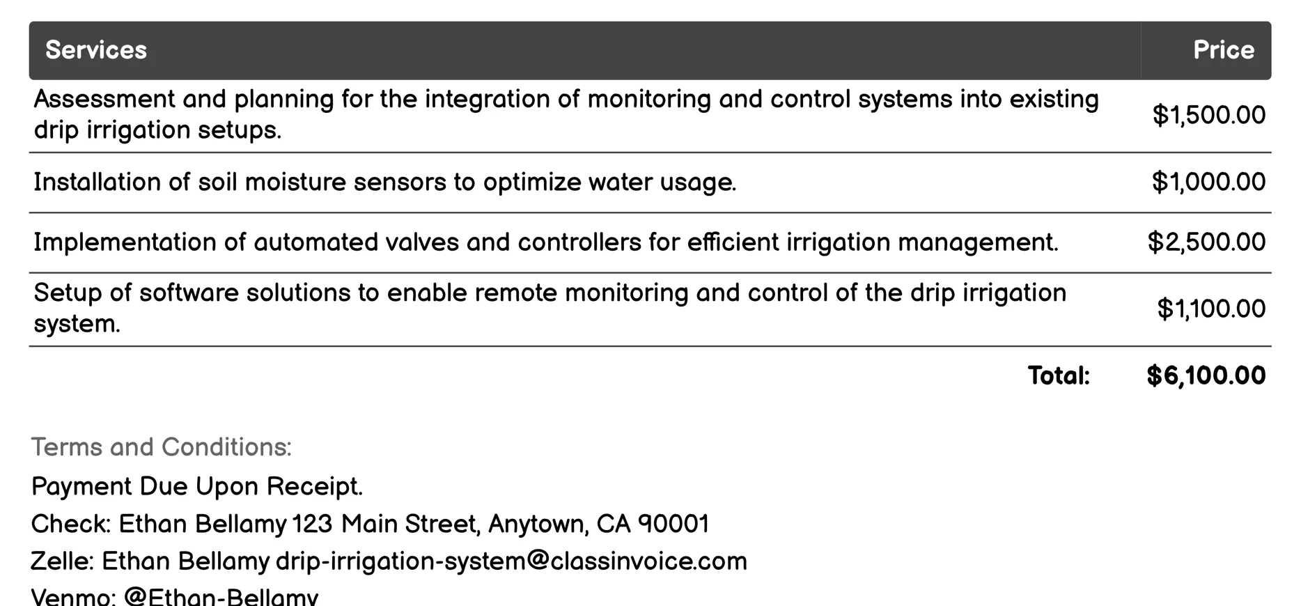 Monitoring and Control Systems Invoice Example