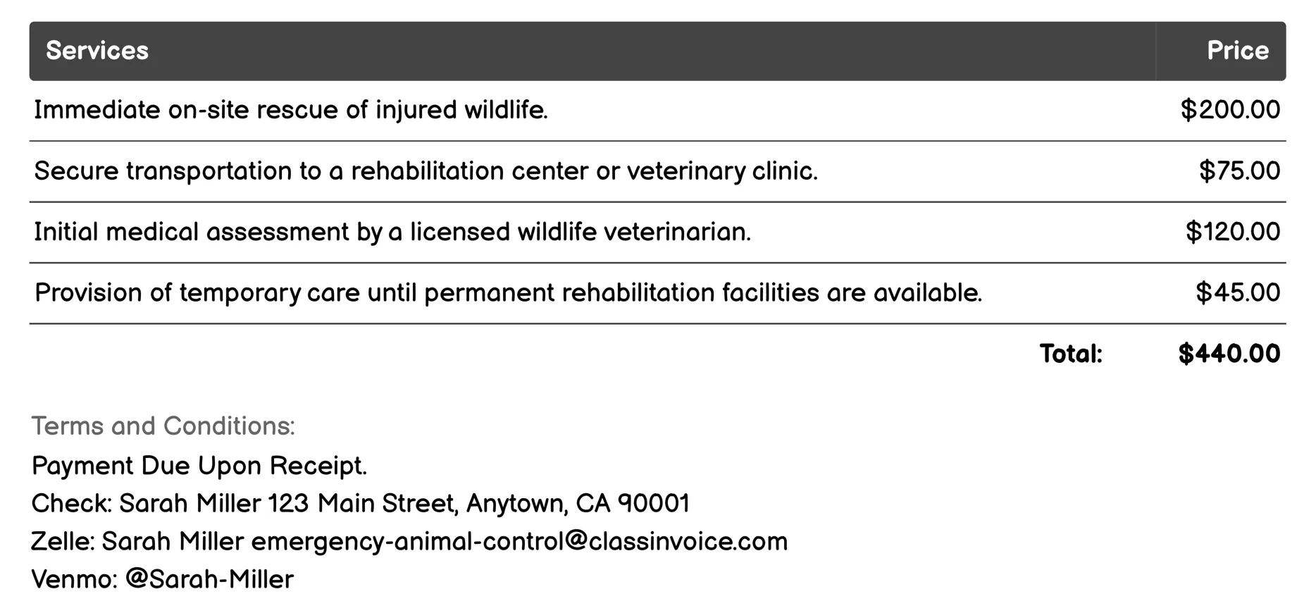 Injured Wildlife Care Invoice Example