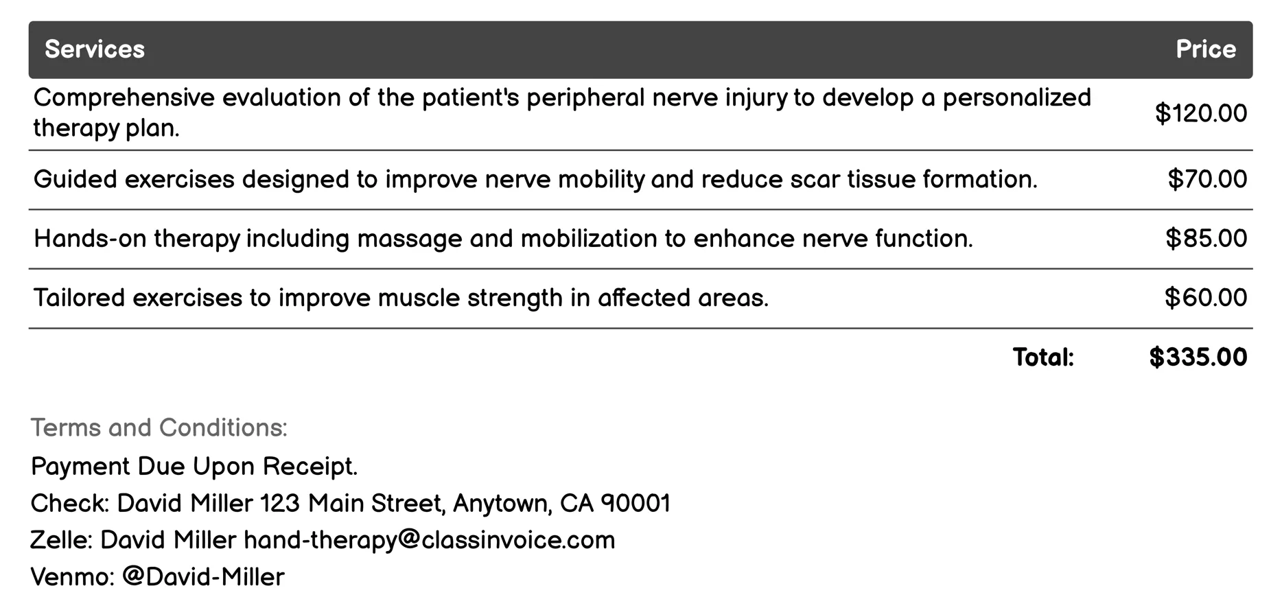 Peripheral Nerve Injury Rehabilitation Invoice Example