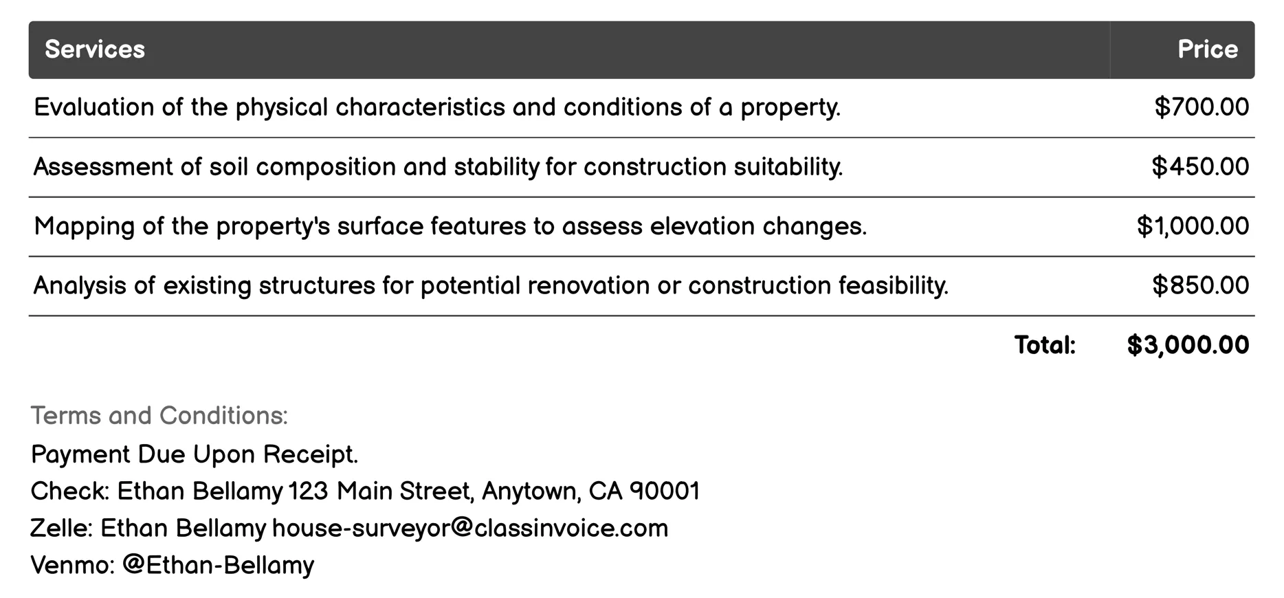 Feasibility Studies Invoice Example