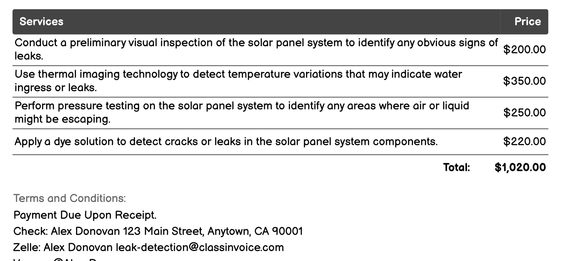 Solar Panel Leak Detection Invoice Example