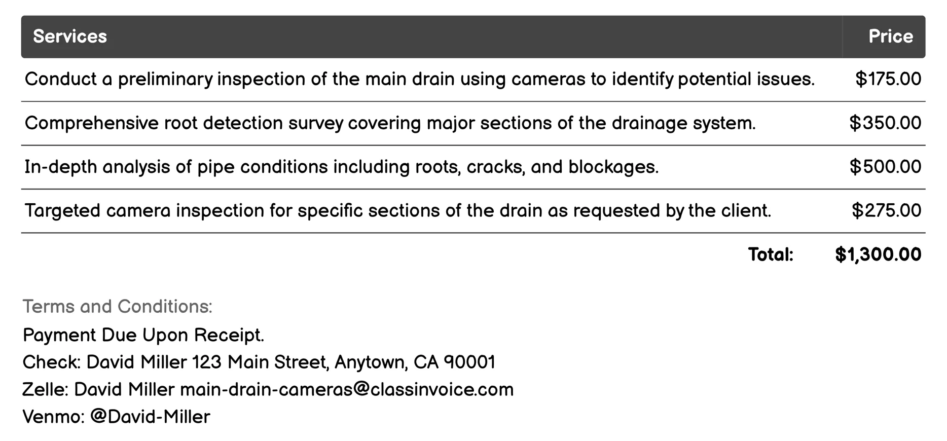 Root Detection Invoice Example