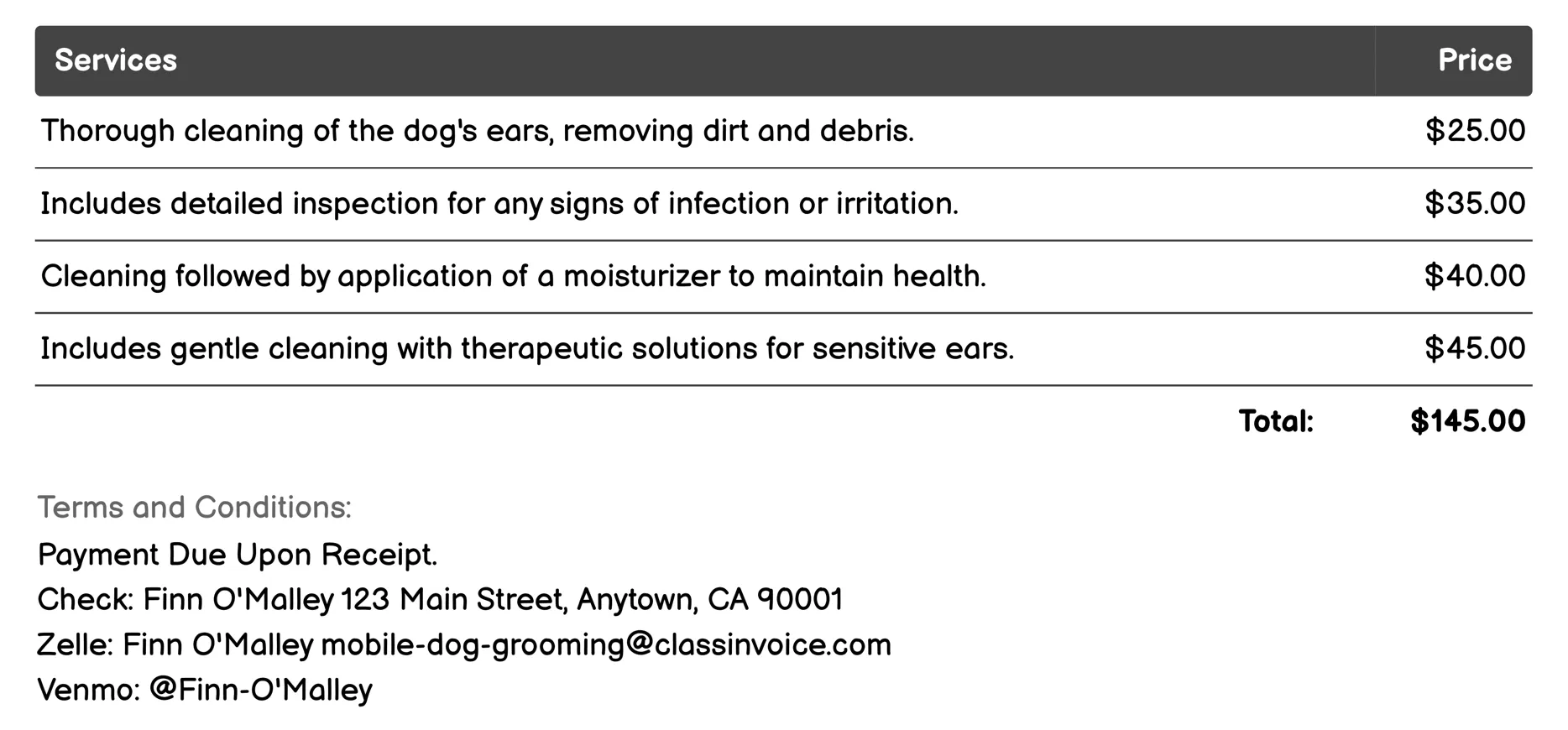 Ear Cleaning and Treatment Invoice Example