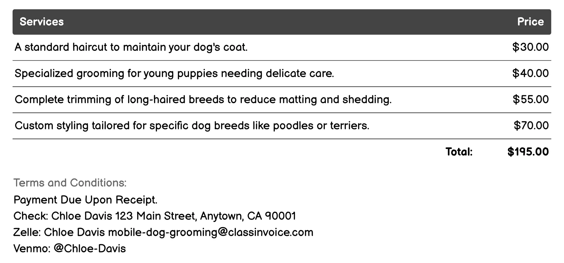 Haircut and Style Invoice Example