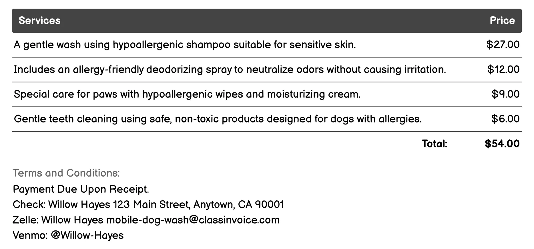 Allergy-Friendly Wash Invoice Example