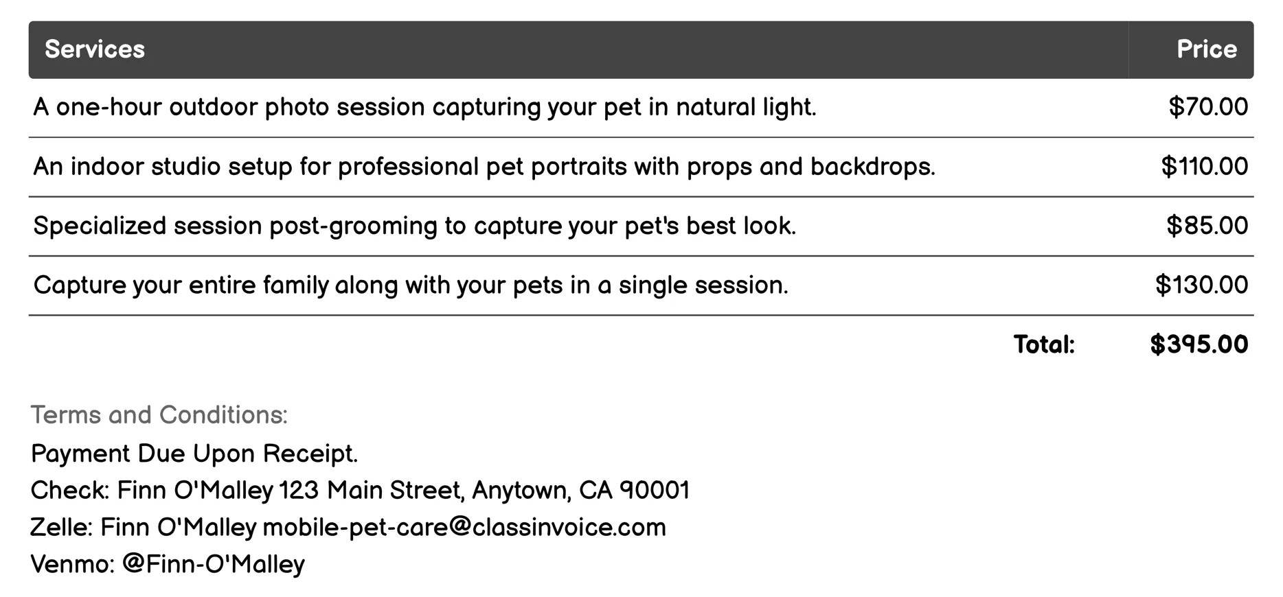 Pet Photography Invoice Example