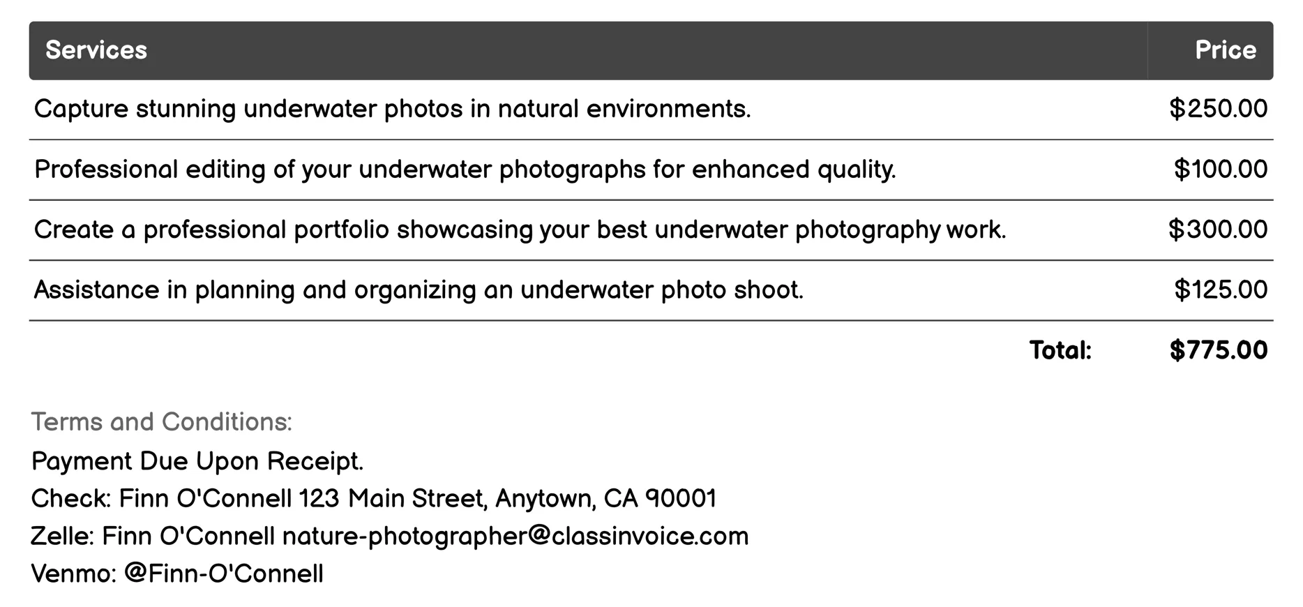 Underwater Nature Photography Invoice Example