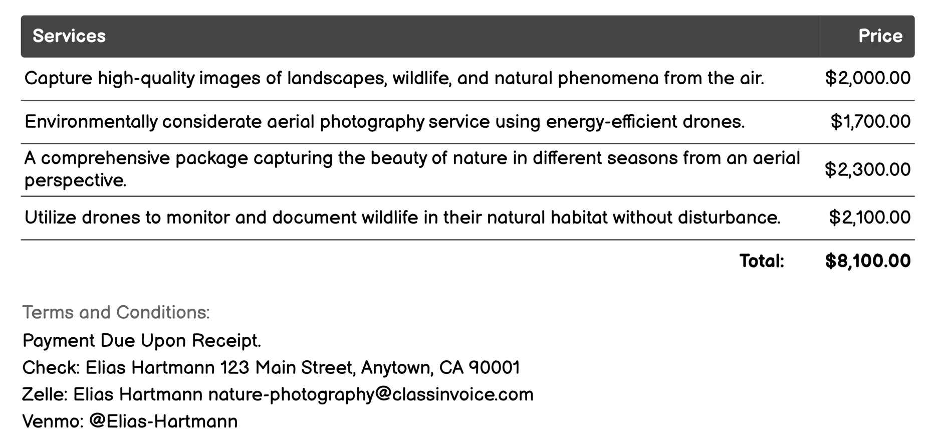 Aerial Nature Photography Invoice Example