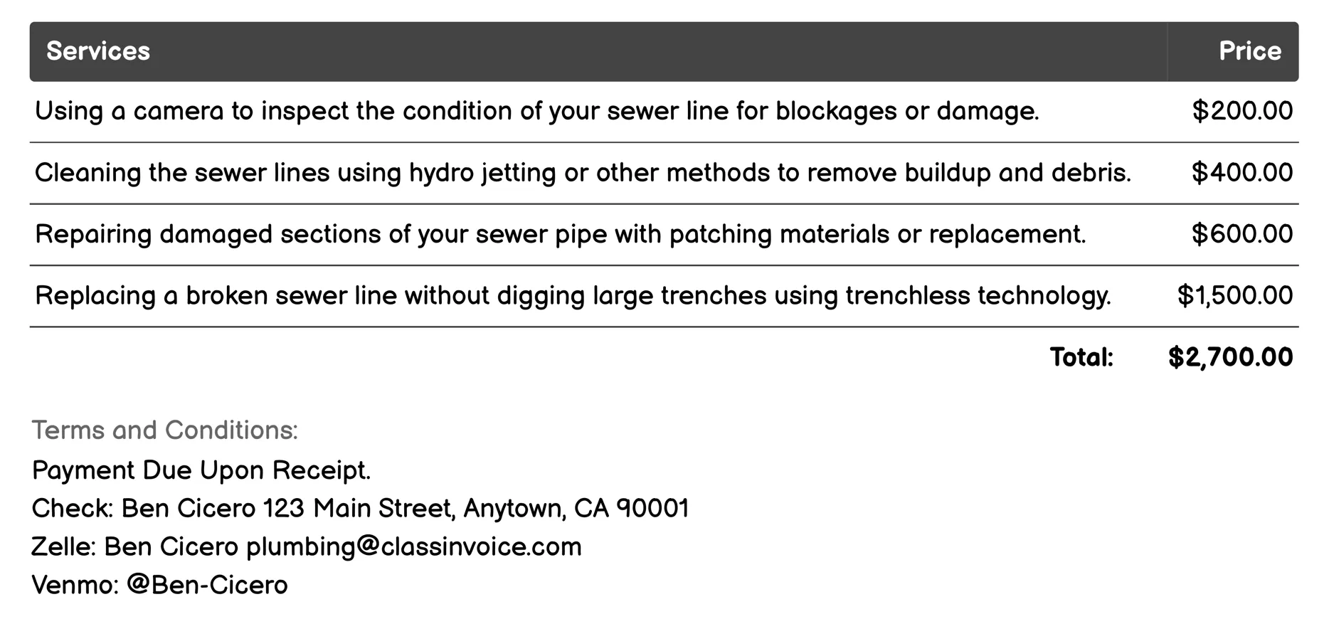 Sewer Line Services Invoice Example