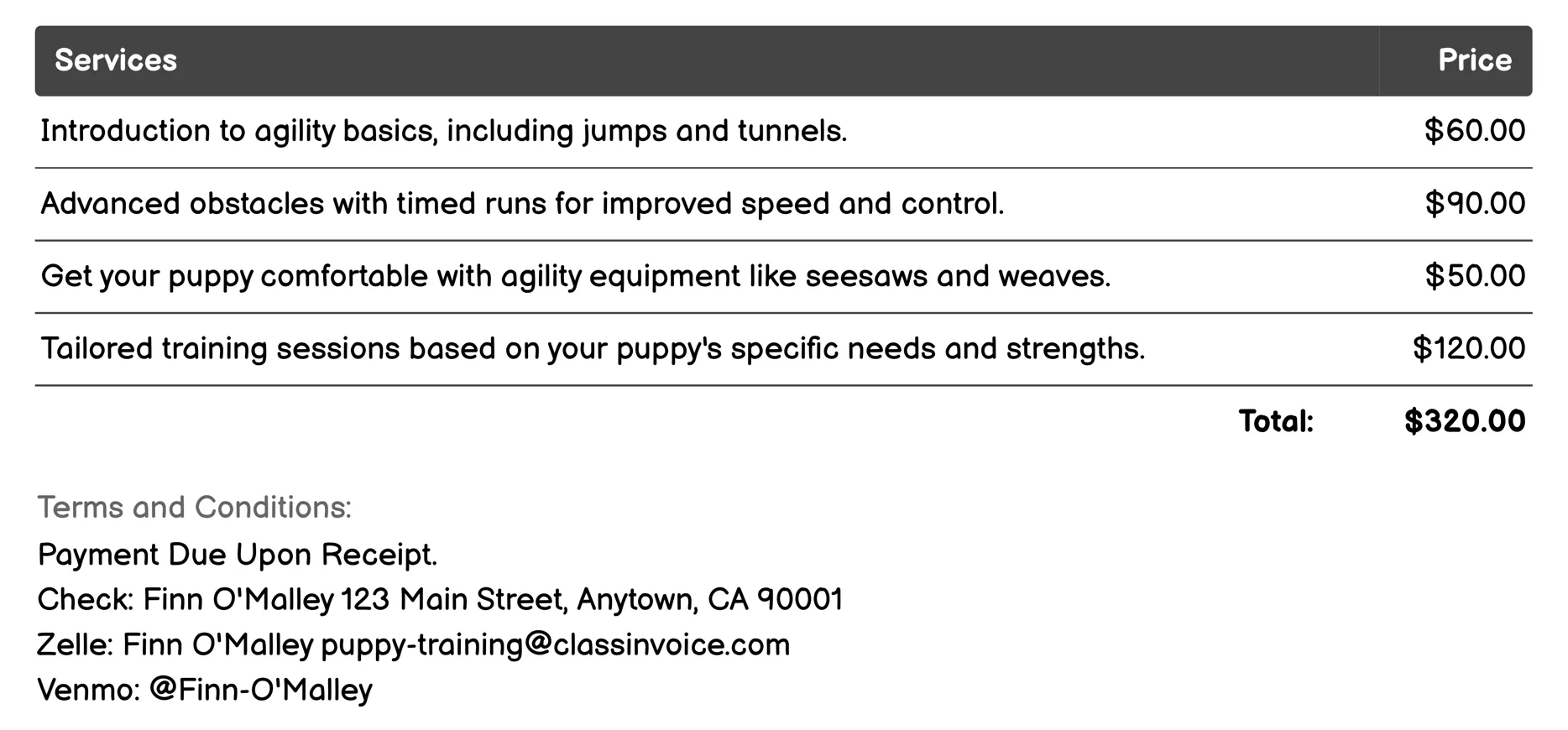 Agility Training Invoice Example