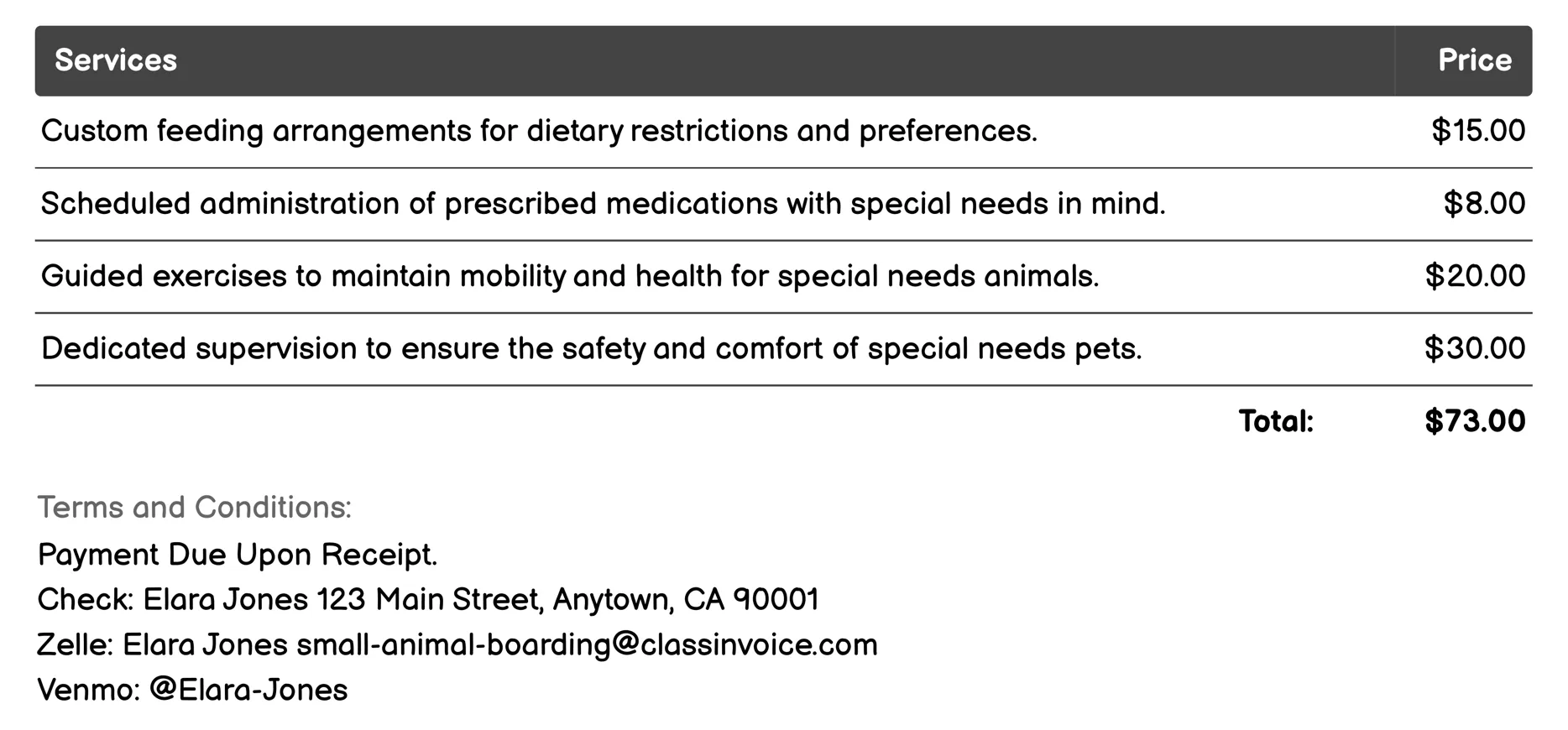 Special Needs Care Invoice Example