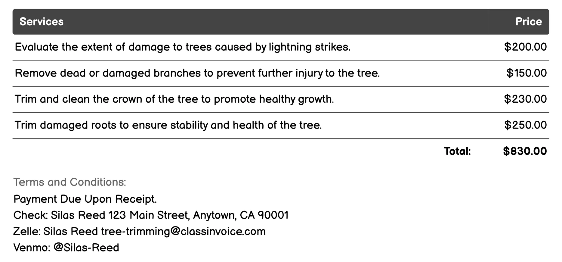 Lightning Strike Recovery Invoice Example