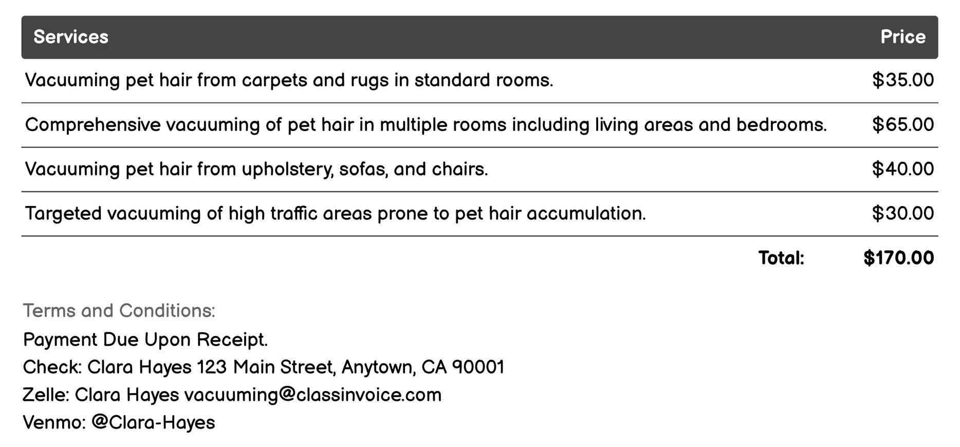 Pet Hair Removal Invoice Example