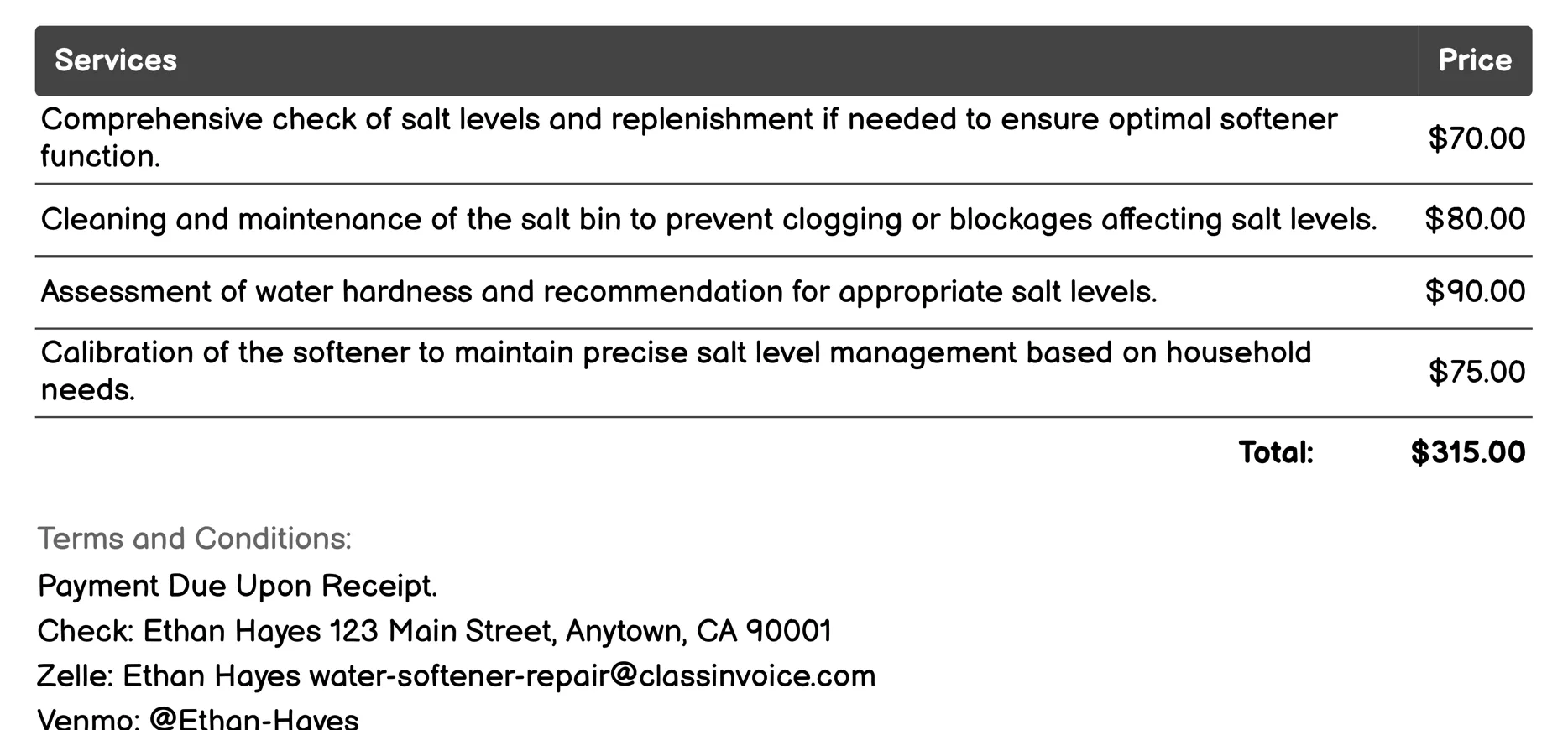 Salt Level Check Invoice Example